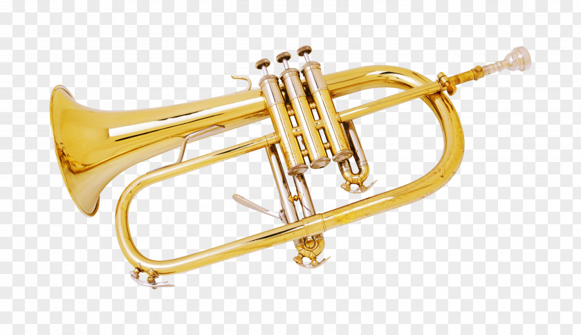 Metal Instruments Trombone Trumpet Saxophone PNG