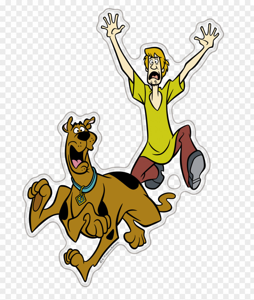 Scooby Doo Shaggy Rogers Scooby-Doo Cartoon PNG