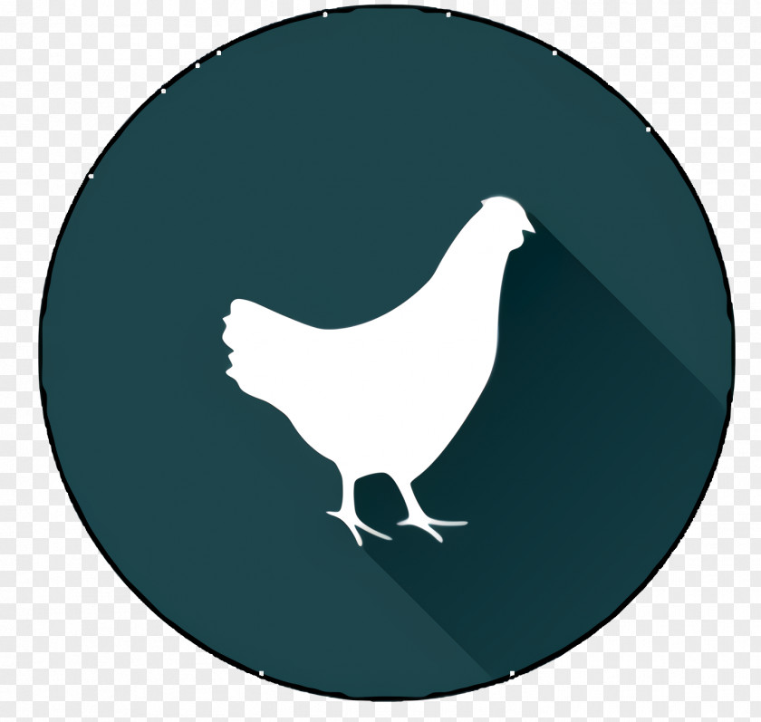Symbol Feather Bird PNG