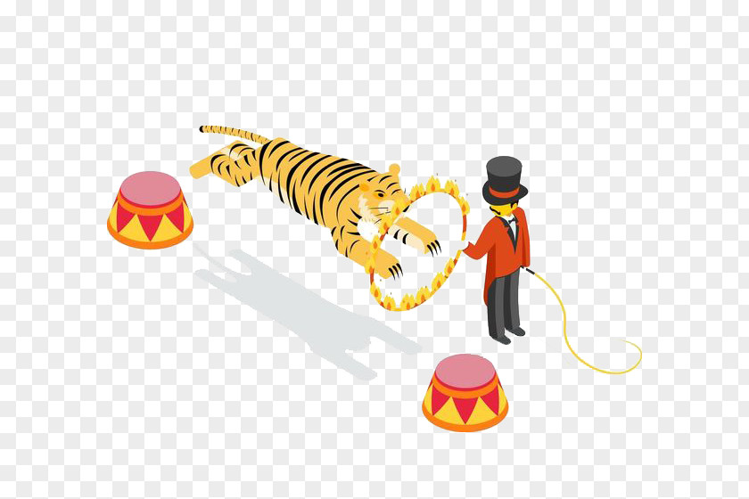 The Tiger Crossed Fire Circle Circus Cartoon Illustration PNG
