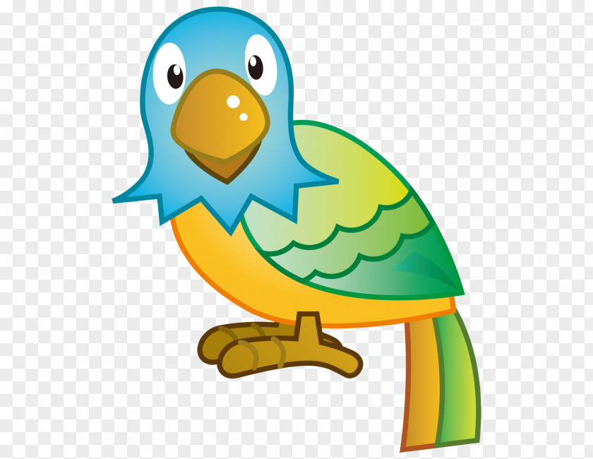 Vector Cartoon Hand Painted Beautifully Looking At Your Parrot Lovebird True Amazon Beak Clip Art PNG