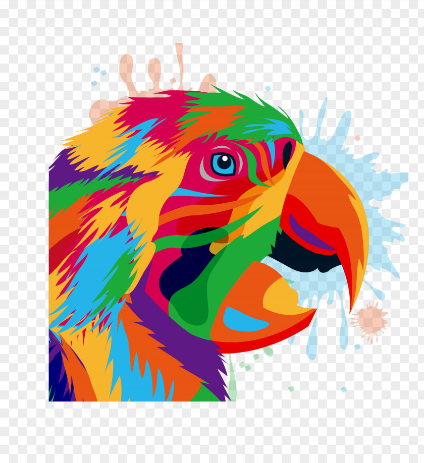 Vector Parrot Bird Drawing Illustration PNG