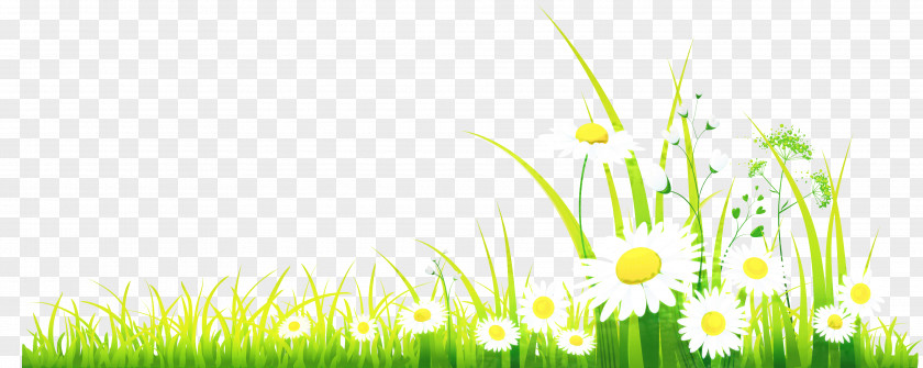 Clip Art Free Content Spring Image PNG