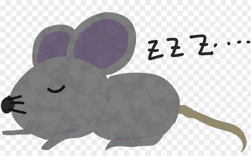 Computer Mouse Fauna Snout PNG
