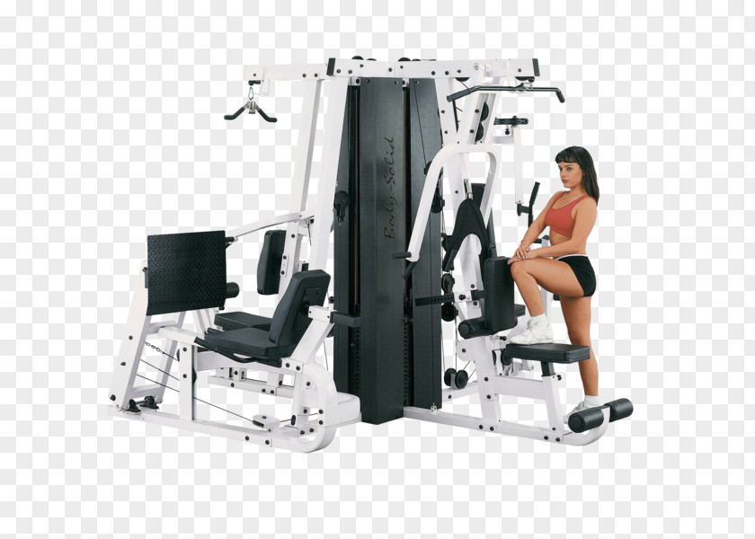 Fitness Centre Strength Training Human Body Exercise Physical PNG
