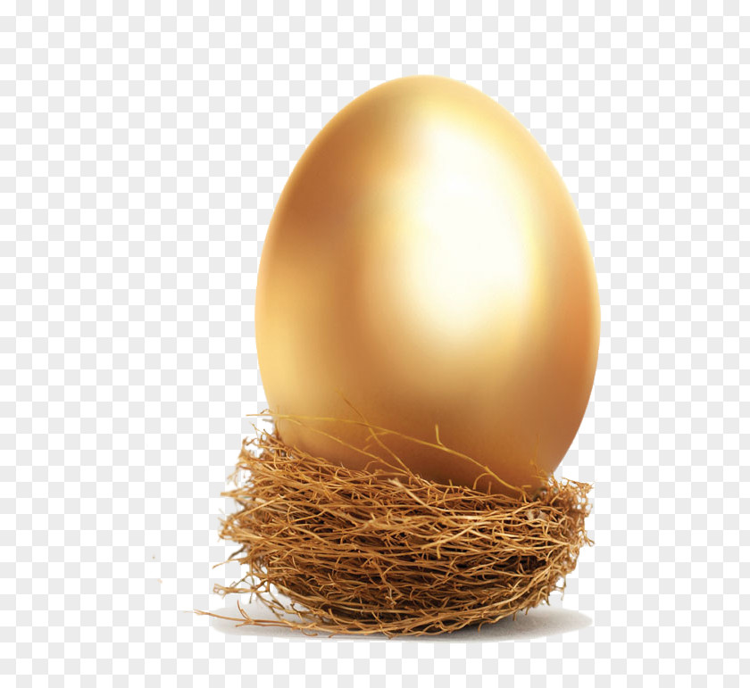 Giant Golden Egg The Safe Investor: How To Make Your Money Grow In A Volatile Global Economy Investment Volatility PNG