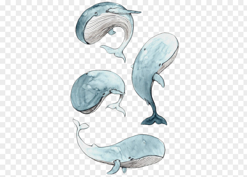 Icon Whale Cetacea Drawing Baby Watercolor Painting Illustration PNG