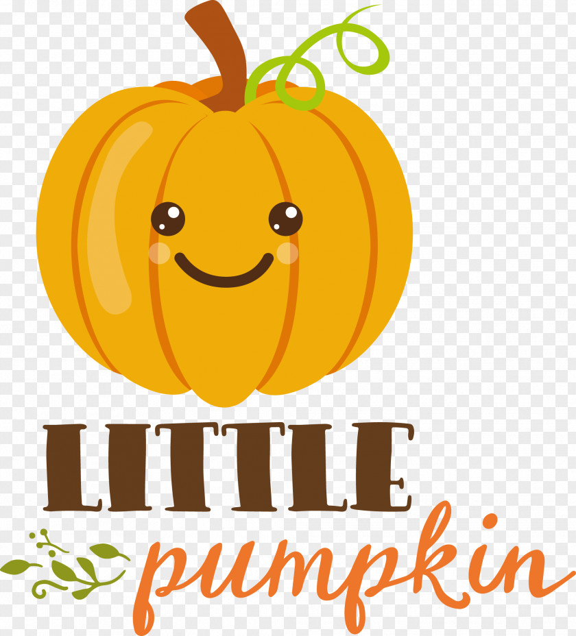 Little Pumpkin Thanksgiving Autumn PNG