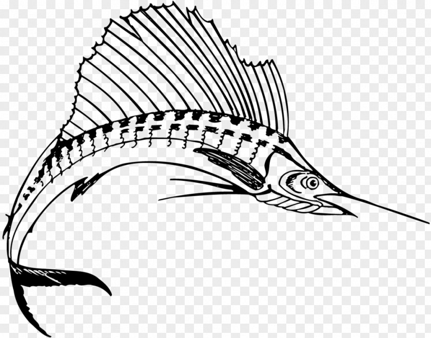 Swordfish Coloring Book Drawing Clip Art PNG