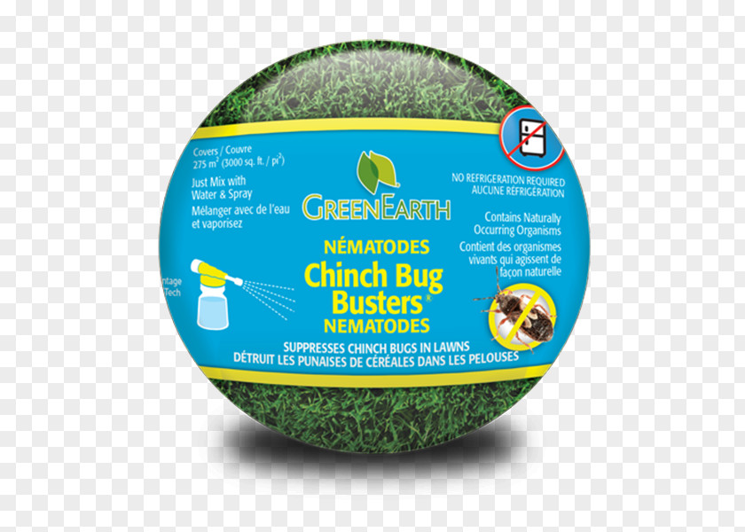 Bugs In Garden Premier Tech Home & Inc Insect Lawn Ant PNG