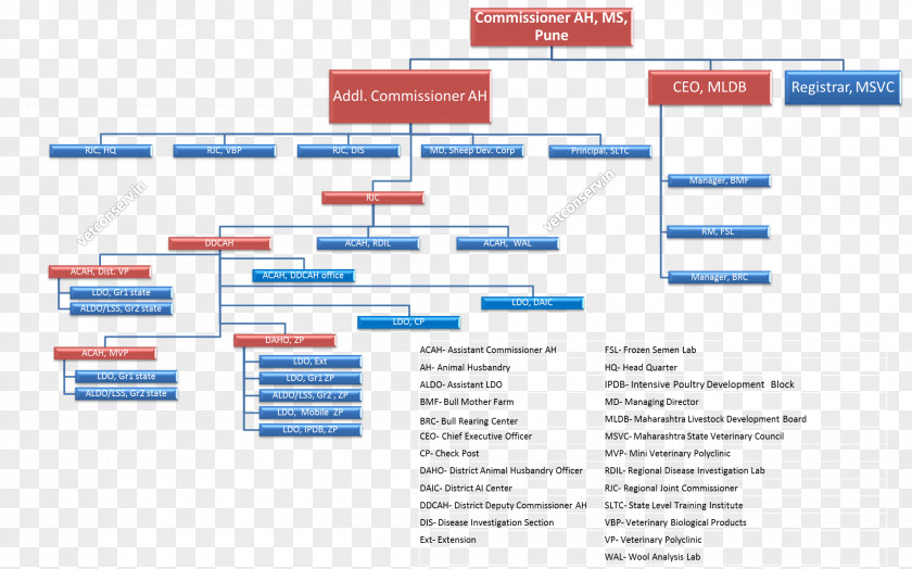 Chart Material Web Page Organization Brand PNG