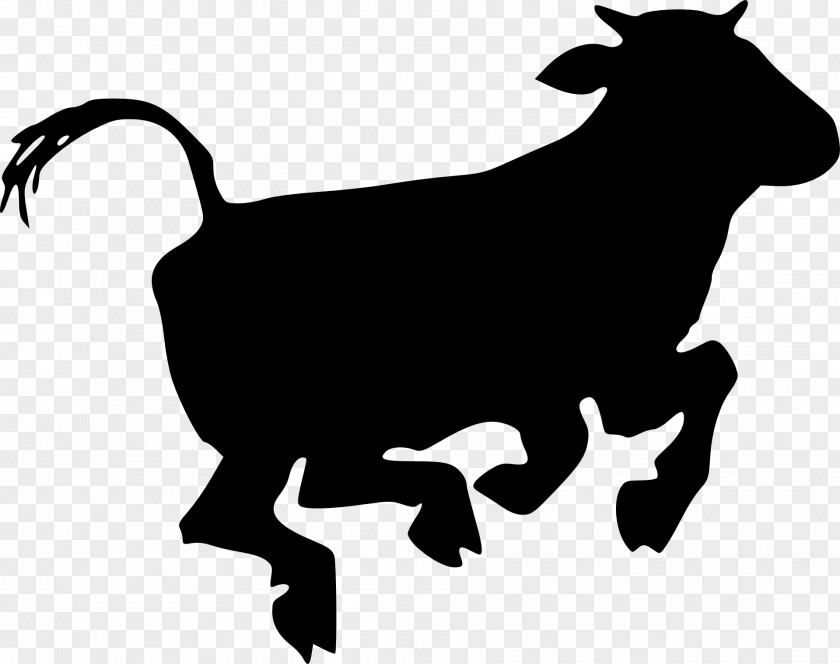 Cow Angus Cattle Texas Longhorn Calf Clip Art PNG