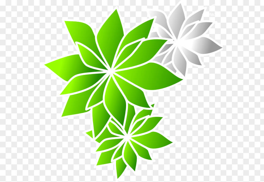 Leaf Line Flower Font PNG