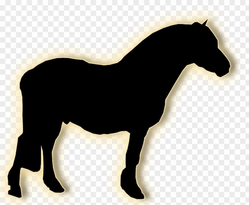 Mustang Stallion Mare Halter Pack Animal PNG