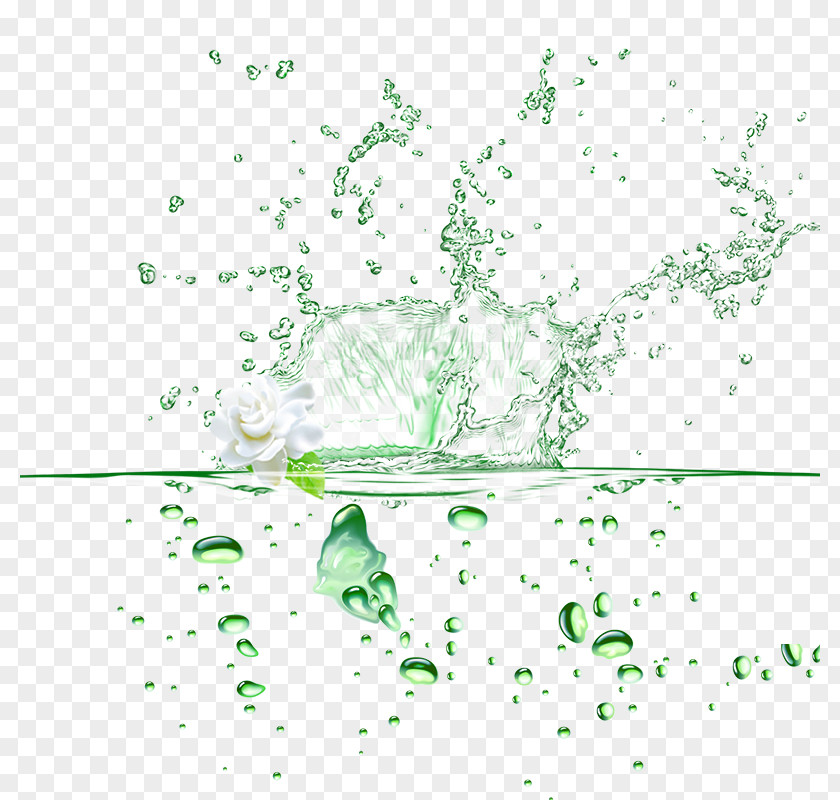 Scattered Green Water Drops Drop PNG
