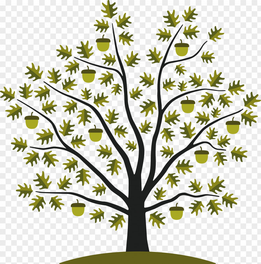 The Tree With Four Seasons Acorn White Oak Seed Clip Art PNG