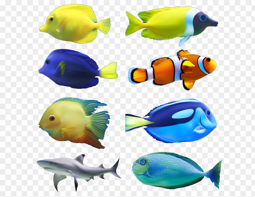 Tropical Sea Fish Euclidean Vector Computer File PNG