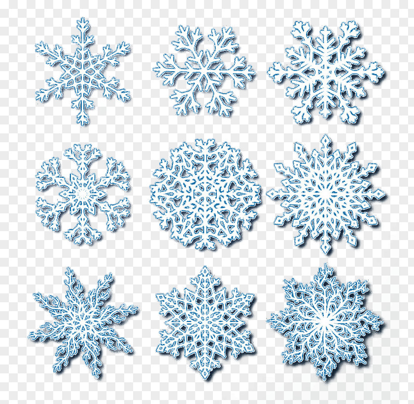 9 Exquisite Pattern Vector Snowflakes Snowflake PNG