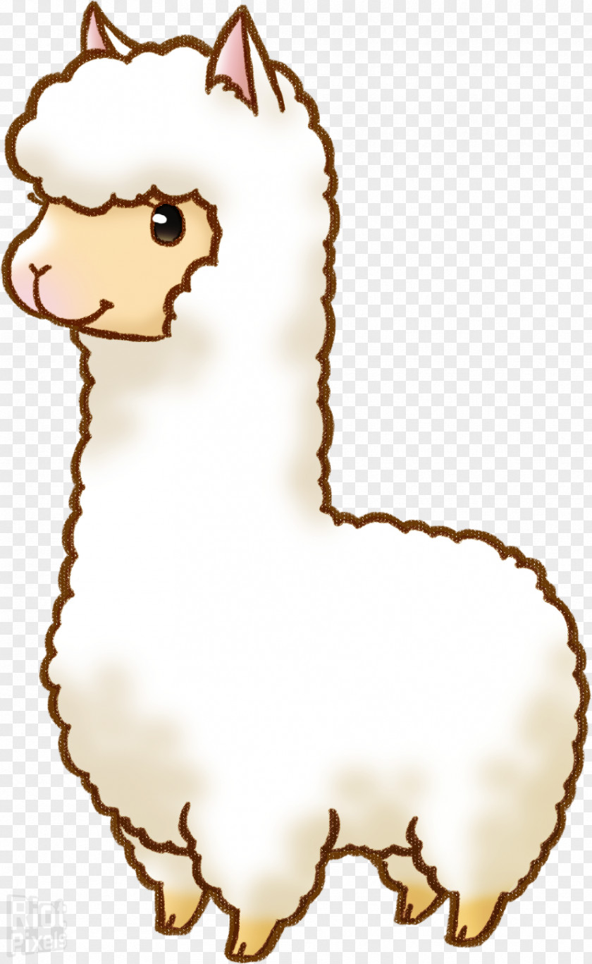 Alpaca Llama Drawing Cartoon Clip Art PNG
