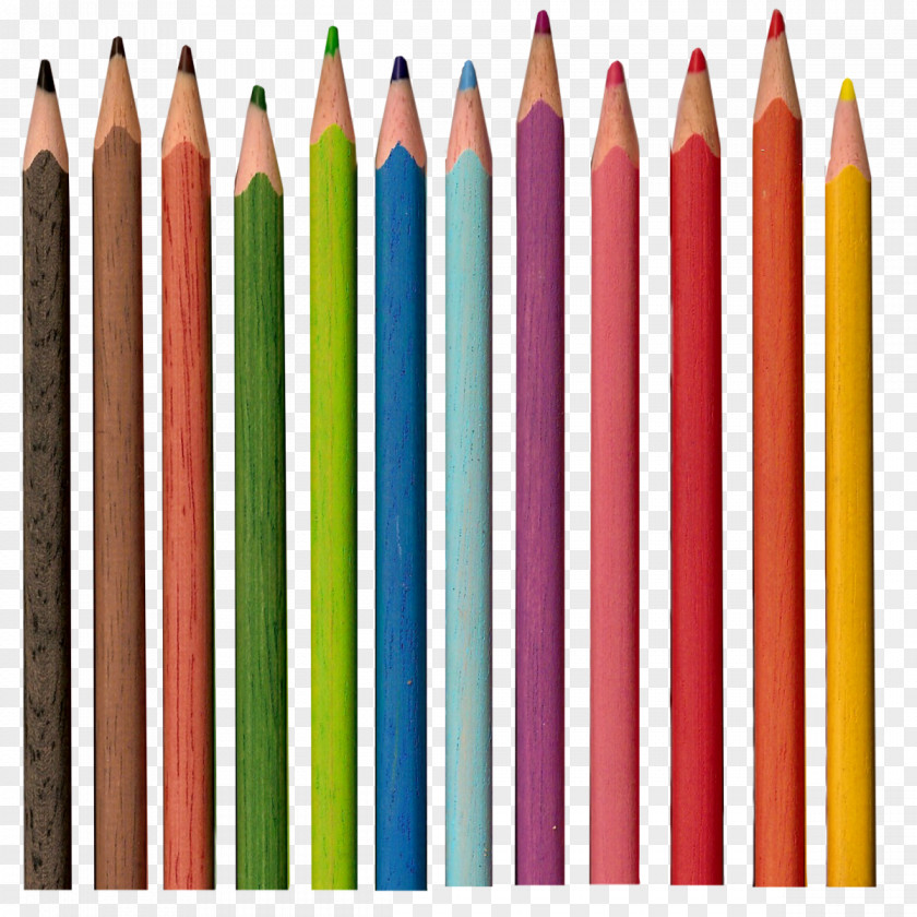 Colorful Pencils Image Colored Pencil Prismacolor PNG