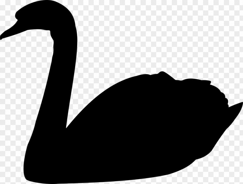 Goose The Black Swan: Impact Of Highly Improbable Clip Art PNG