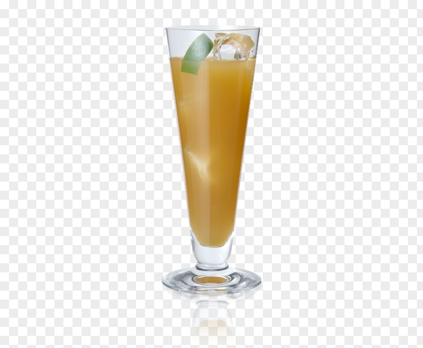 Peach Drink Cocktail Garnish Tequila Fuzzy Navel Mai Tai PNG
