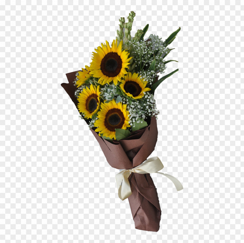 Sunflowers Common Sunflower Flower Bouquet Cut Flowers Seed PNG