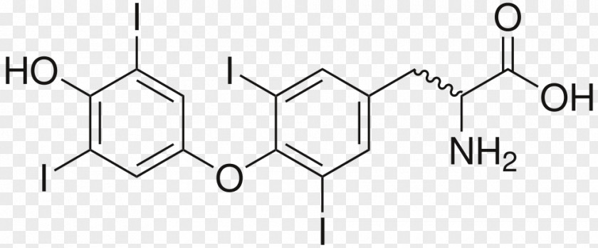 Tablet Levothyroxine Pharmaceutical Drug Triiodothyronine The Thyroid Gland PNG