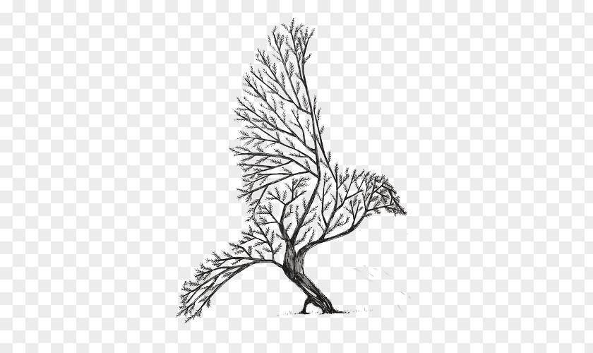Bird Tree,Hand Painted Drawing Ink Art Sketch PNG