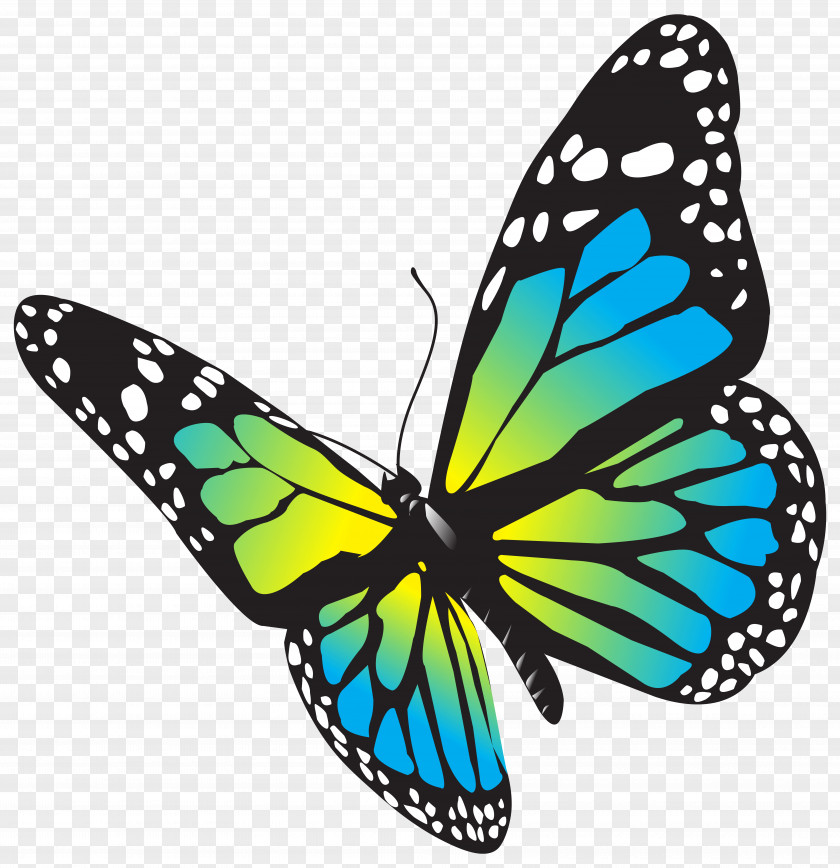 Blue Butterfly Monarch Drawing Clip Art PNG