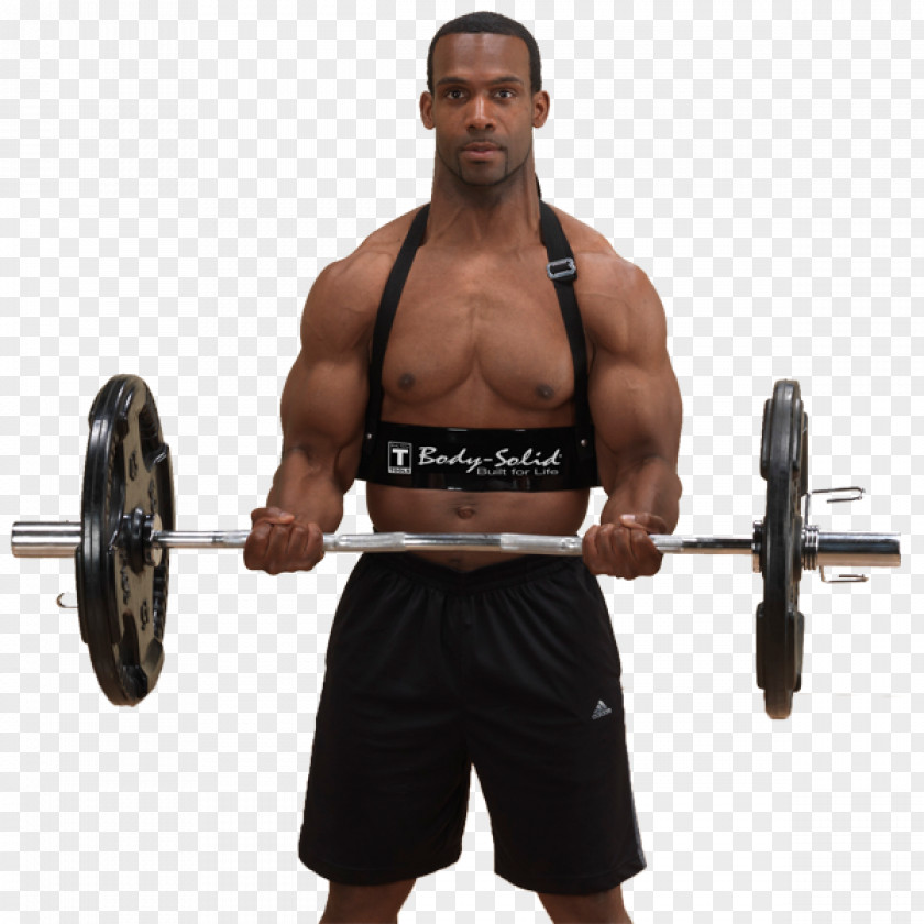 Enhance Strength Biceps Curl Arm Elbow Exercise PNG