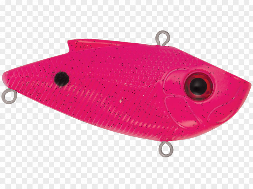 Fishing Baits & Lures Product Design PNG
