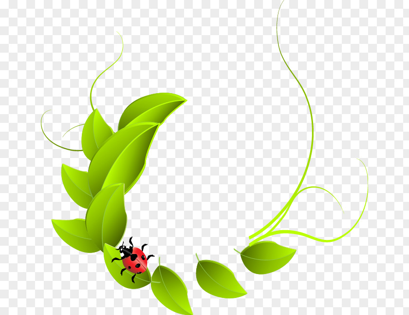 Painted Green Leaves Ladybug Pattern Dialog Box Clip Art PNG