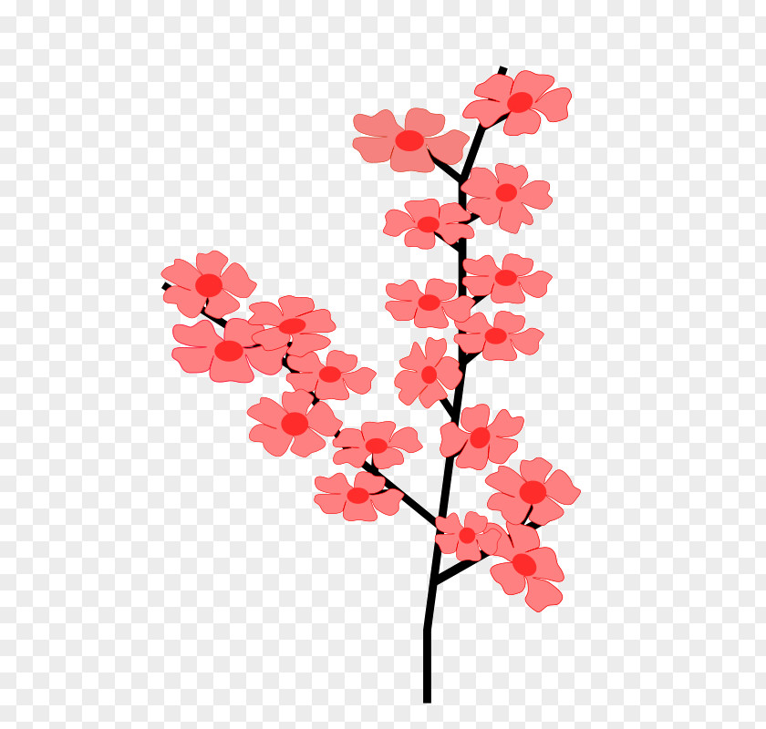 Twigs Cherry Blossom Clip Art PNG