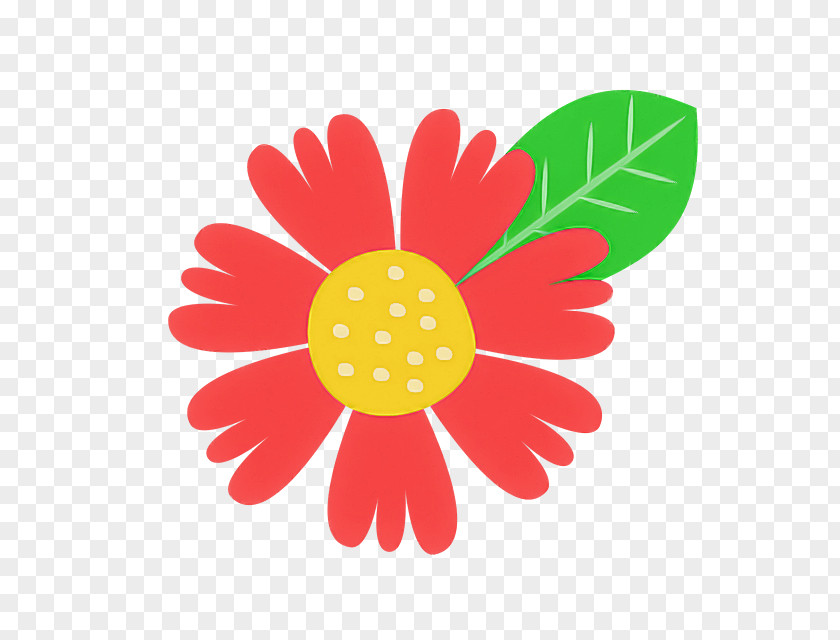 Camomile Plant Daisy PNG