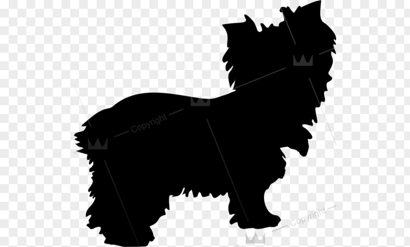 Dog Persian Cat Sticker Decal Polyvinyl Chloride PNG