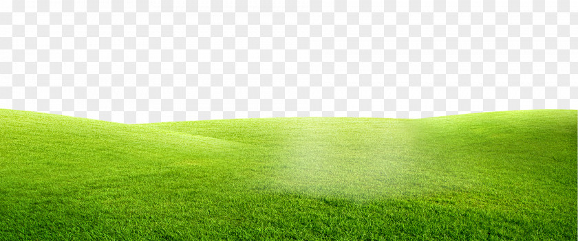 Green Lawn PNG lawn clipart PNG