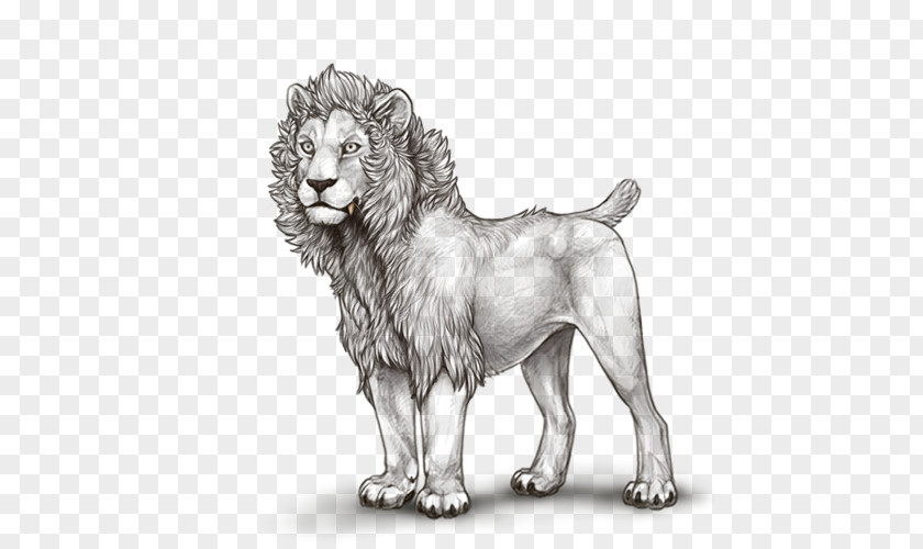 Lion Dog Breed Cat Drawing PNG
