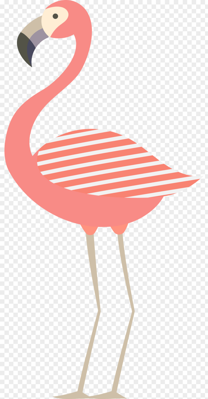 Ninety Bird Flamingo PNG