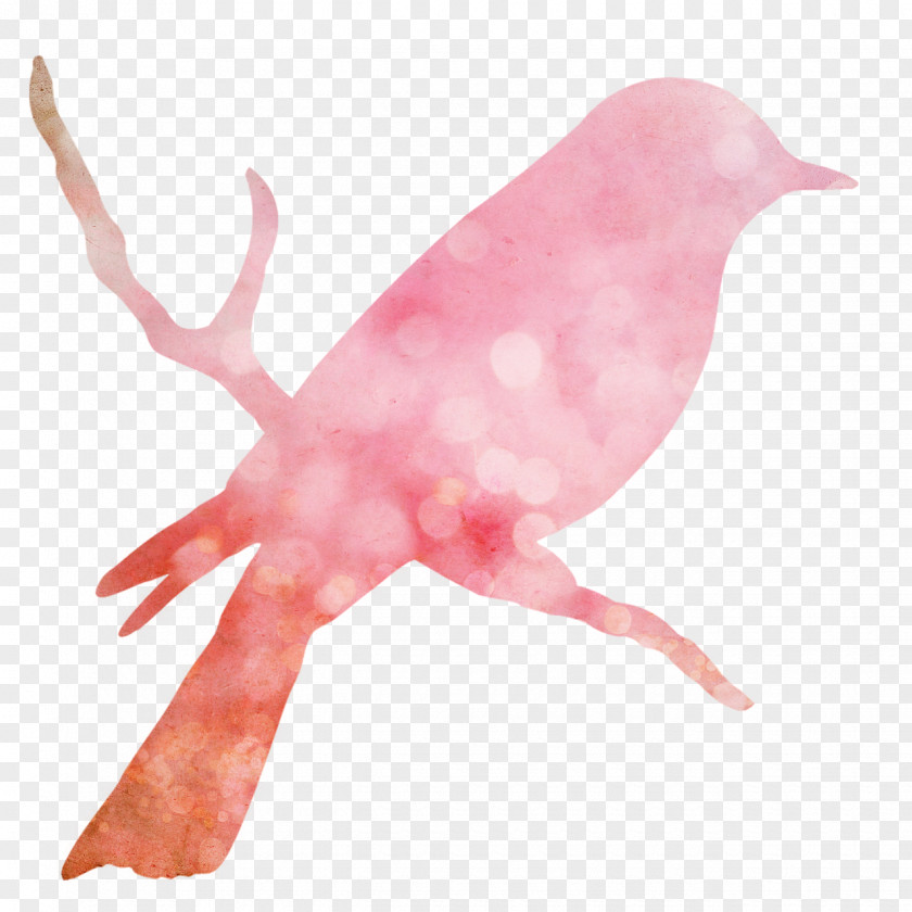 Pink Birds Bird Nest Illustration PNG