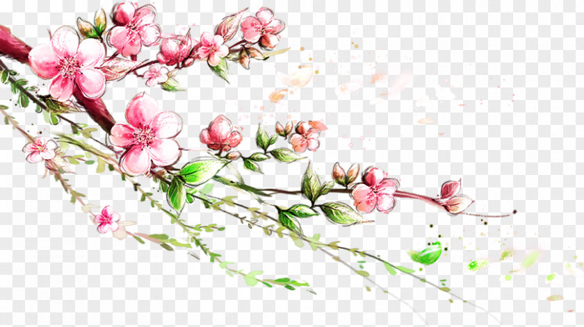 Plum Flower Branch Blossom PNG