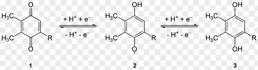 Reductions Tocopheryl Acetate Alpha-Tocopherol Vitamin E PNG