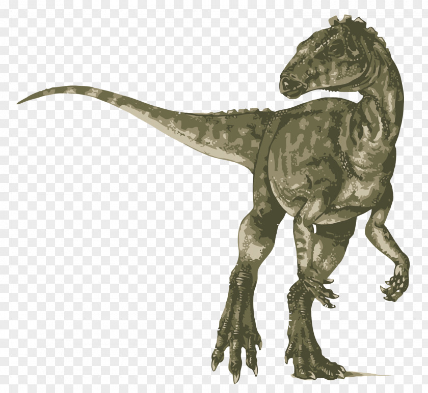 Vector Dinosaur Heterodontosaurus Tyrannosaurus Velociraptor Ankylosaurus Stegosaurus PNG