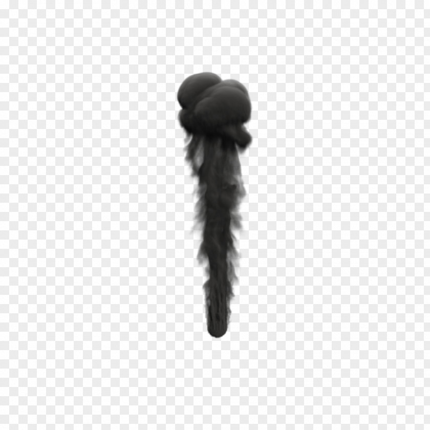 Black Smoke Mushroom PNG Mushroom, black smoke illustration clipart PNG