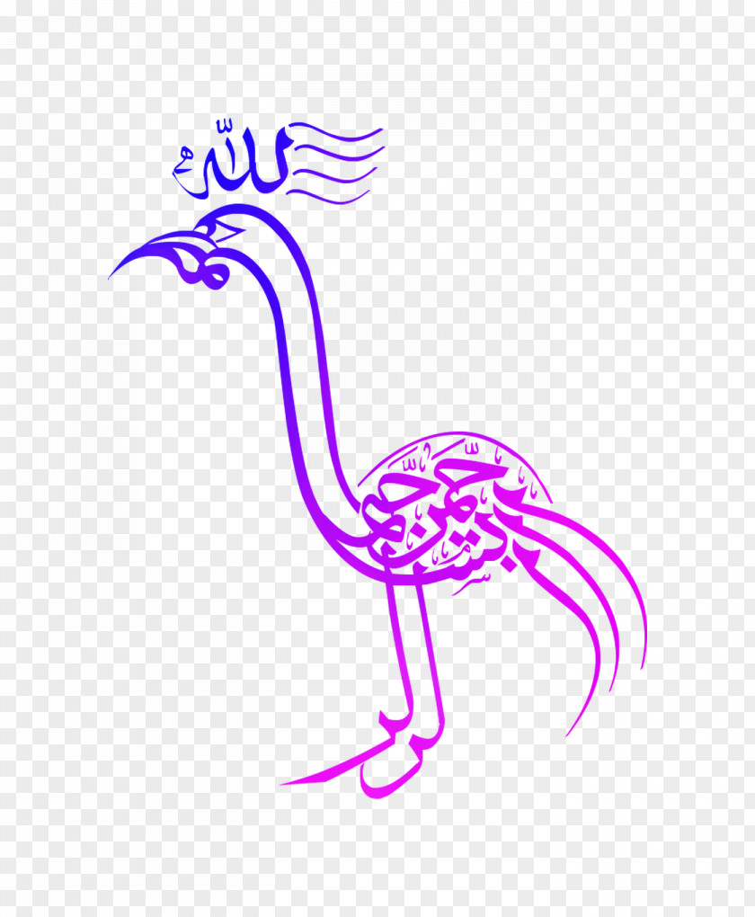 Clip Art Beak Pattern Line PNG