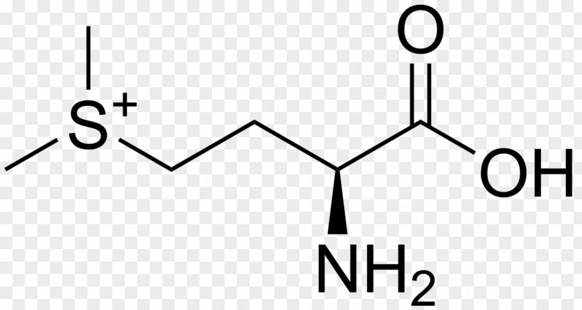 Histidine Amino Acid Arginine Valine Phenylalanine PNG