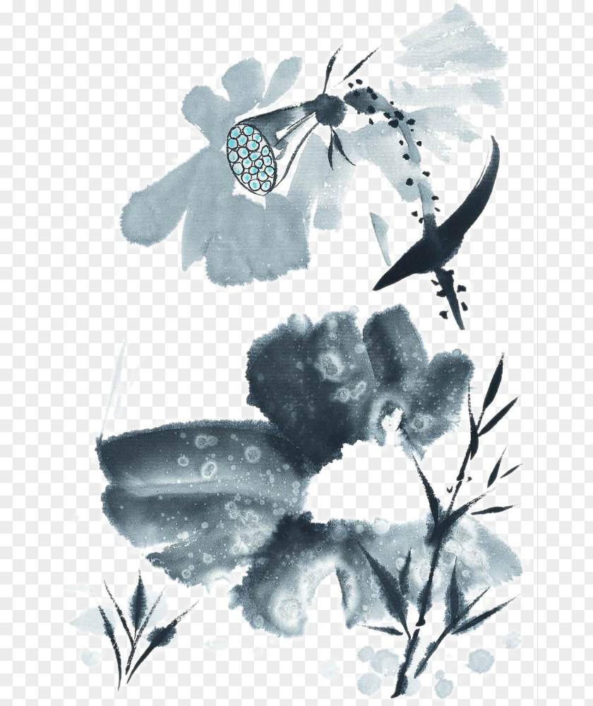 Pomo Shower Ink Wash Painting Nelumbo Nucifera PNG