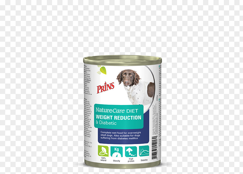 Dog Food Diabetes Mellitus Diet PNG