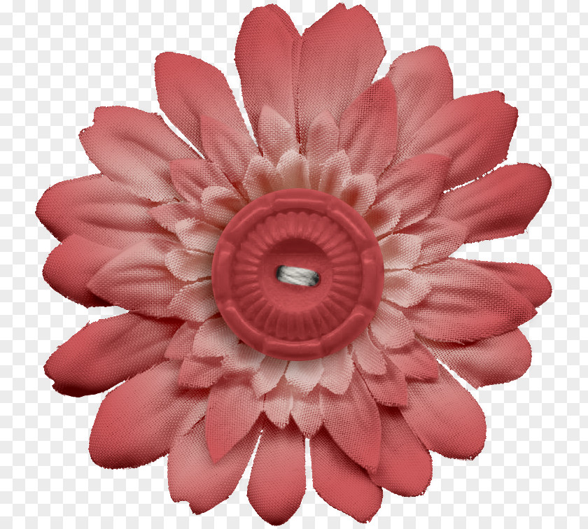 Flower Scrapbooking Rubber Stamp Transvaal Daisy PNG