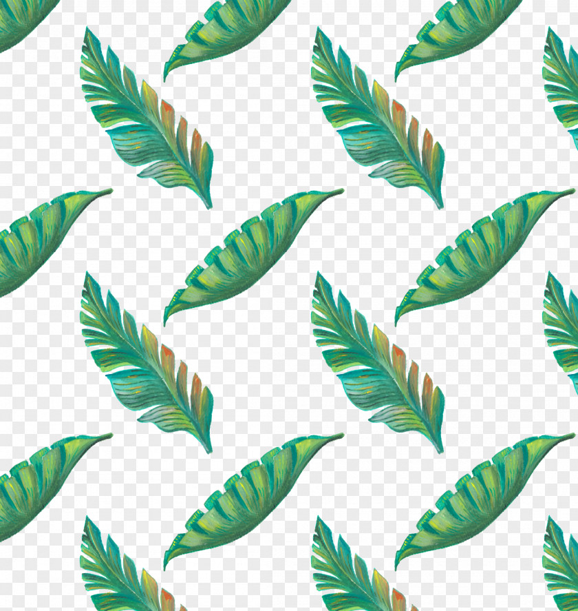 Hand Painted Green Tropical Leaves Pattern Leaf Tropics Drawing PNG